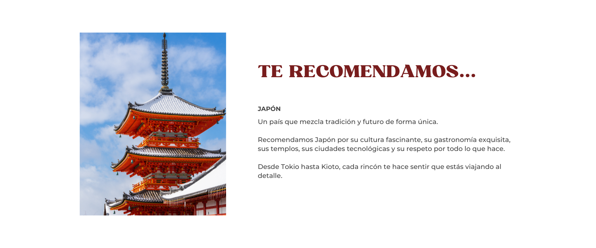 TE RECOMENDAMOS JAPON